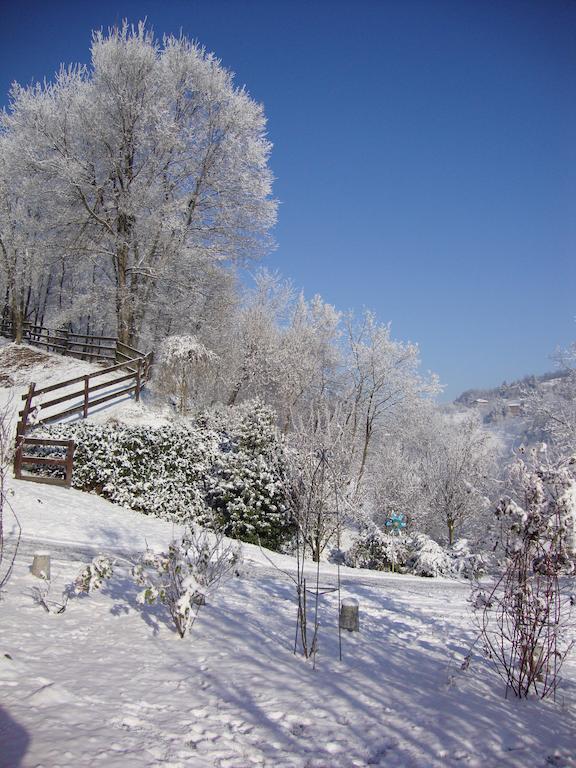 Cascina Nel Bosco Bed & Breakfast Moncucco Torinese Exterior photo